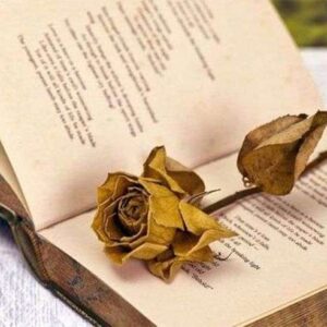 Διαγωνισμός Εφηβικής Λογοτεχνίας και Ποίησης
