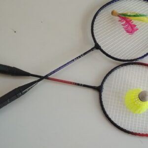Μαθαίνοντας… αντιπτέριση (badminton)